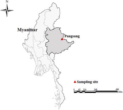 Identification of Uncommon Cryptosporidiumviatorum (a Novel Subtype XVcA2G1c) and Cryptosporidium andersoni as Well as Common Giardia duodenalis Assemblages A and B in Humans in Myanmar